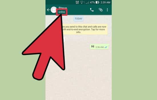 Descubra si tu contacto de WhatsApp está en línea