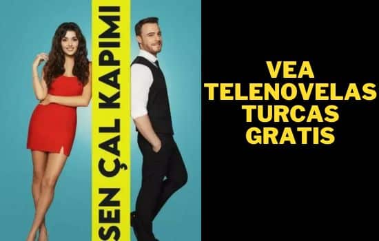 Vea telenovelas turcas gratis