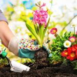 🌿 Aplicativo com Dicas de Jardinagem: Seu Jardim na Palma da Mão