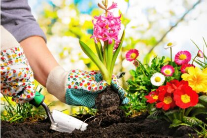 🌿 Aplicativo com Dicas de Jardinagem: Seu Jardim na Palma da Mão